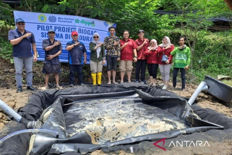 Pamekasan Sukses Kembangkan Biogas dari Limbah Sapi, Wujudkan Kemandirian Energi!