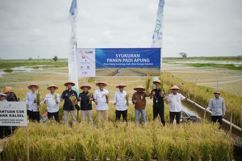 OJK Kalsel Dorong Pertumbuhan Ekonomi Lewat Inovasi Padi Apung
