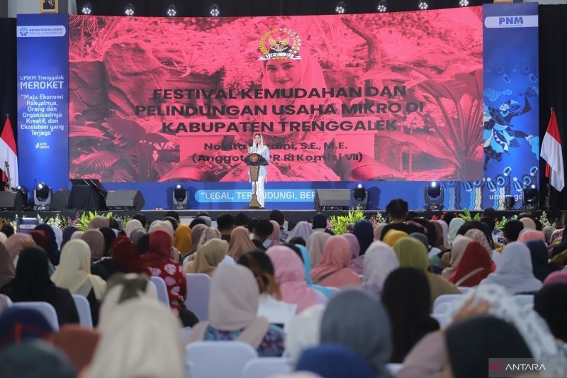 UMKM: Pilar Ekonomi Bangsa yang Membutuhkan Perlindungan Maksimal