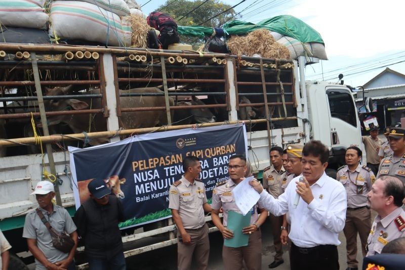 Kepala Barantin Tinjau Pengiriman Hewan Kurban di NTB: Jamin Kesehatan Ternak dan Kelancaran Distribusi