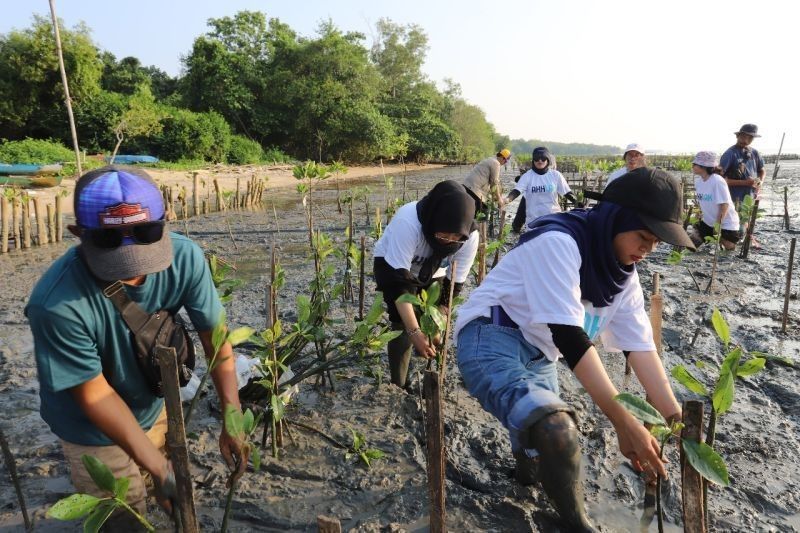 Indonesia: Dukungan Tertinggi Dunia untuk Aksi Iklim, Survei Global Ungkap Fakta Mengejutkan
