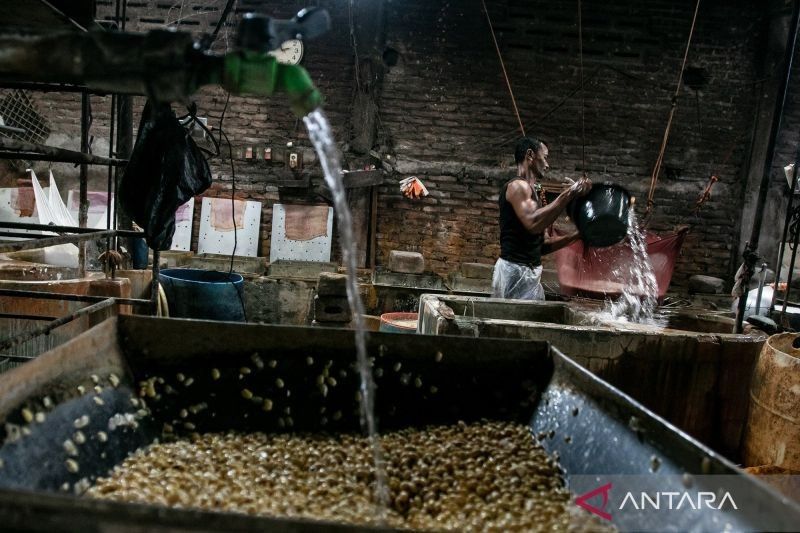 Pekerja Informal di Indonesia Naik: BPS Catat Peningkatan 59,40 Persen