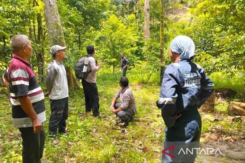 BKSDA Aceh Gunakan Mercon Usir Beruang Madu di Abdya