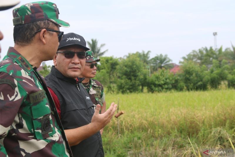 Bulog Meulaboh Capai Serapan Gabah 8.976 Ton, Dekati Target Swasembada Pangan