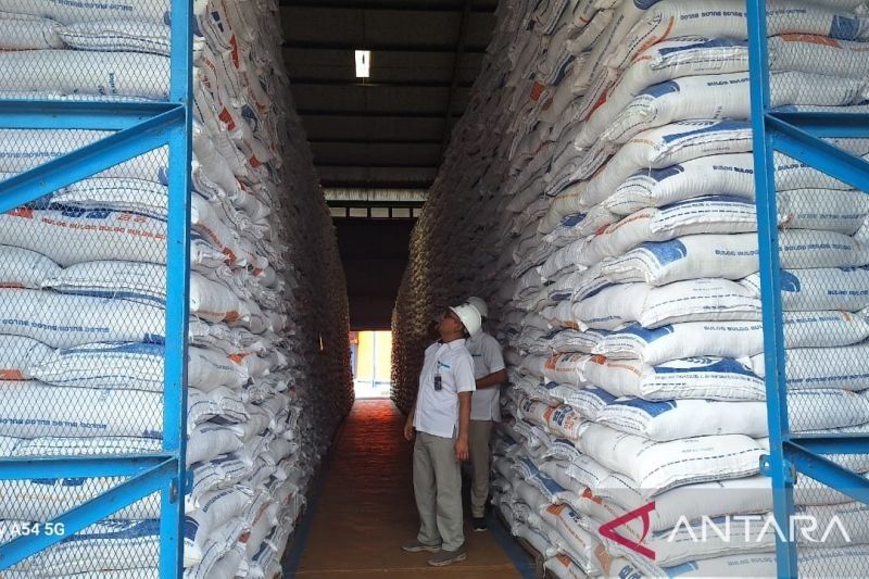 Bulog Aceh Capai Serapan Beras 86 Ribu Ton, Gudang Penuh!