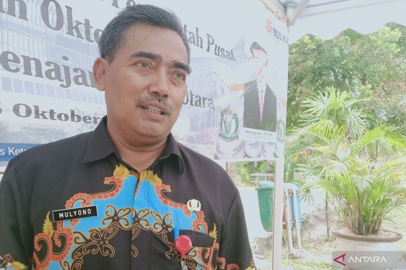 Serapan Gabah Petani Penajam Paser Utara Capai 1.500 Ton, Harga Stabil dan Petani Untung!