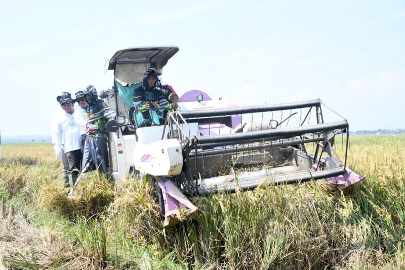 Lumbung Pangan Baznas: Ciptakan Kemandirian Pangan dan Sejahterakan Petani
