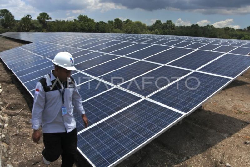 Potensi EBT di Pulau Timor Capai 30 GW, Solusi Energi Berkelanjutan untuk NTT?
