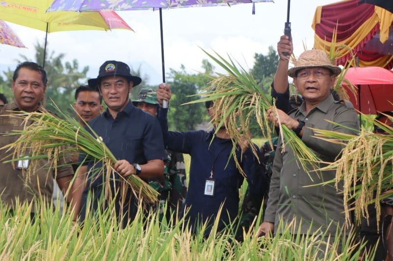 Pemkab Buleleng Prioritaskan Pertanian untuk Ketahanan Pangan Nasional