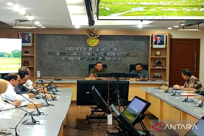 Gorontalo Dorong Hilirisasi Jagung: Tingkatkan Nilai Tambah dan Ciptakan Lapangan Kerja