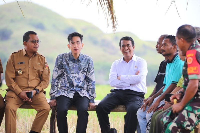Wapres dan Mentan Tinjau Pertanian NTT: Pupuk dan Irigasi Jadi Fokus Utama