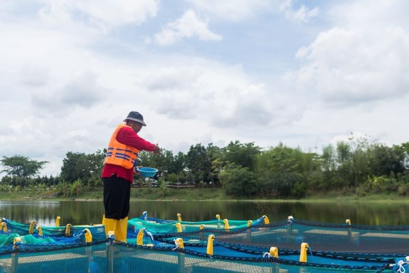 SIG Ciptakan 20 Ribu Lapangan Kerja Lewat Program Pengelolaan Lingkungan