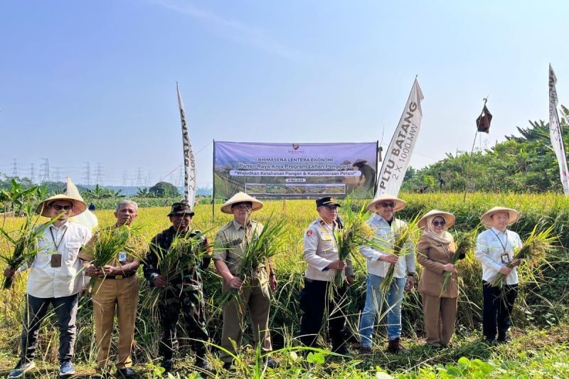 Panen Raya Padi di Lahan Pengganti PLTU Batang: Wujud Sinergi BUMN dan Pemerintah