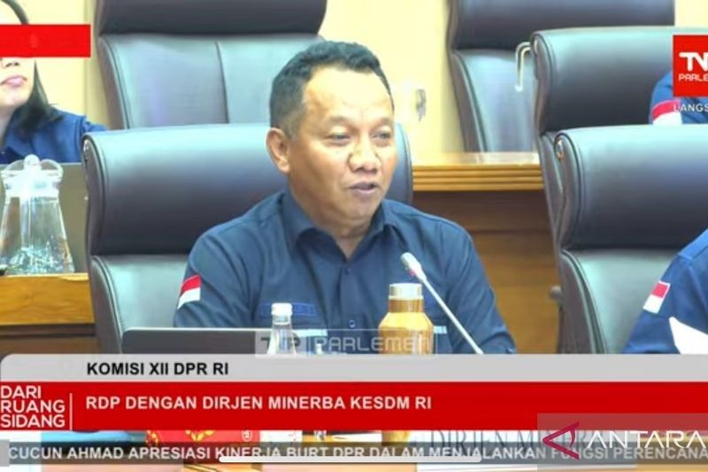 Harga Nikel Dunia Turun, ESDM: Pelemahan Industri Global Jadi Faktor Utama
