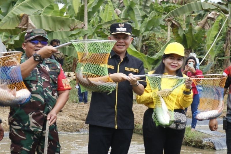 DPKP Gunung Mas Fokus Kembangkan Patin, Gurami, dan Nila untuk Tingkatkan PAD