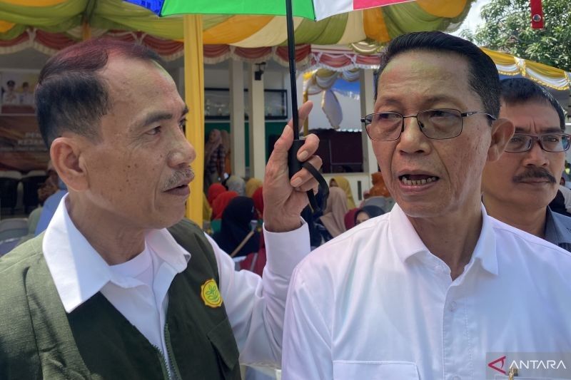 Sapi Kurban Presiden untuk Batam: Masjid Sultan Jadi Lokasi Pemotongan