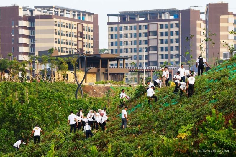 OIKN Hijaukan 80 Hektare Lahan IKN: Wujudkan Kota Hutan Inklusif