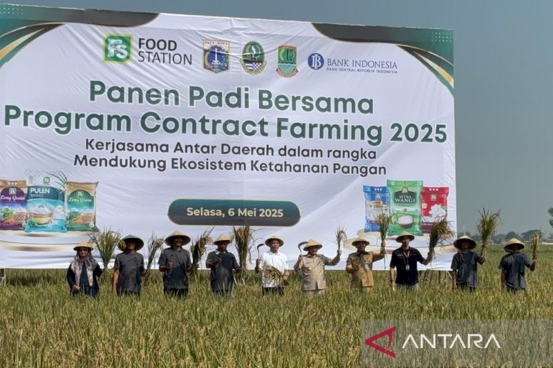DKI Jakarta-Karawang Jalin Kerja Sama Ketahanan Pangan, Targetkan Ribuan Hektare Sawah