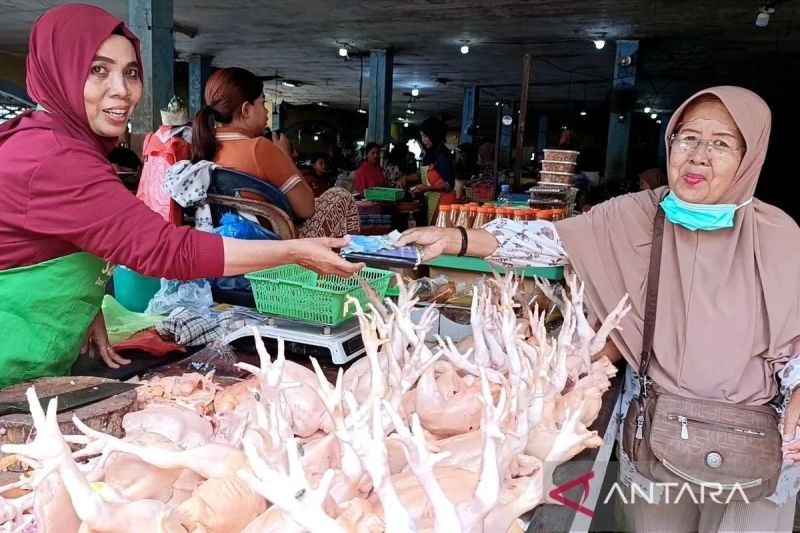 Harga Daging Ayam Turun, Cabai Rawit Juga Murah! Cek Update Harga Pangan Terbaru dari Bapanas