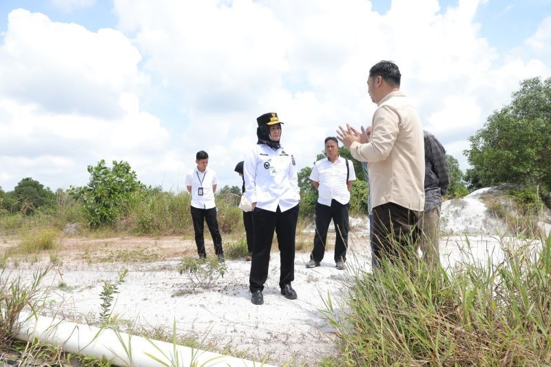 Wagub Babel Dorong Tanam Singkong di Belitung Timur, Penuhi Kebutuhan Pabrik Tapioka