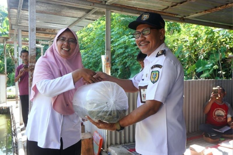 Ribuan Benih Ikan Ditebar di Sungai Bengawan Madiun untuk Jaga Ekosistem
