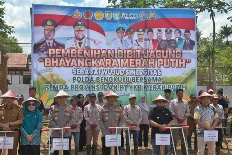 Bengkulu Targetkan Satu Hektare Jagung per Desa, Wujudkan Ketahanan Pangan Nasional