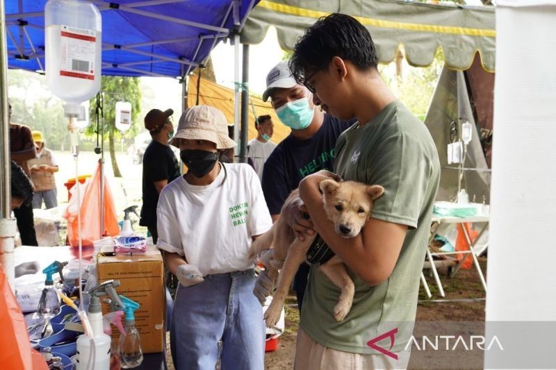 ITDC Fasilitasi Vaksinasi Rabies di Bali: Langkah Nyata Menuju Pariwisata Berkelanjutan