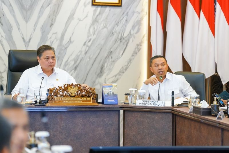 Menko Airlangga Dorong Riau Garap Potensi Industri Lokal, Sasar Pasar Global