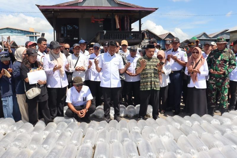 Bupati Sidrap Tebar 286.000 Bibit Ikan di Danau Sidenreng, Upaya Kembangkan Perikanan dan Ketahanan Pangan