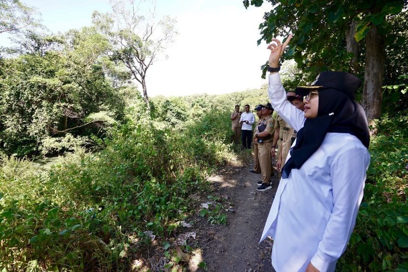 Banyuwangi Kembangkan Sport Tourism: Jelajah Hutan Menuju Waduk Bajulmati