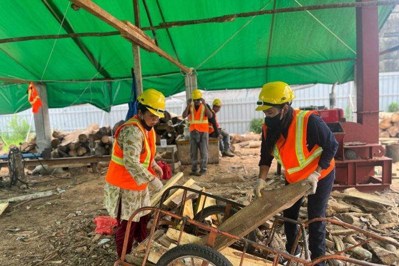 Cofiring Biomassa PLTU PLN: Dongkrak Kesejahteraan Warga Kalbar