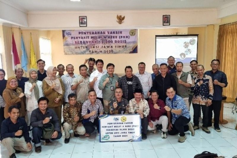 Frisian Flag Donasikan 13.600 Vaksin PMK untuk Peternak Sapi di Jawa, Cegah Penyebaran Penyakit