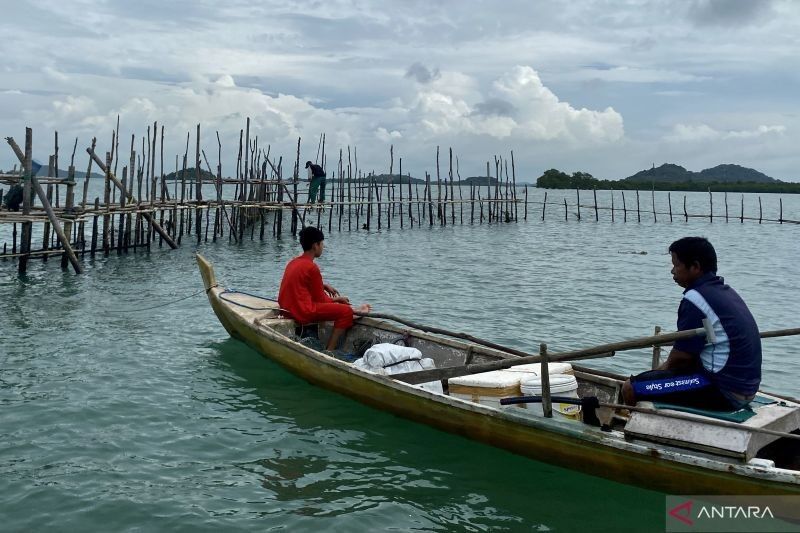 5.000 Nelayan Batam Terdaftar BPJS Ketenagakerjaan, Pemkot Batam Perluas Perlindungan