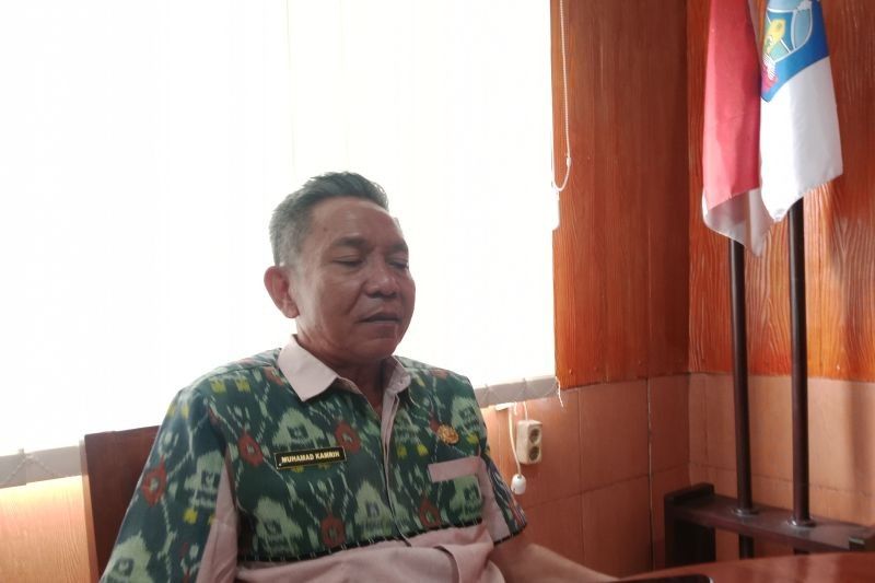 Lombok Tengah Pastikan Sapi Kurban Bebas PMK Jelang Idul Adha