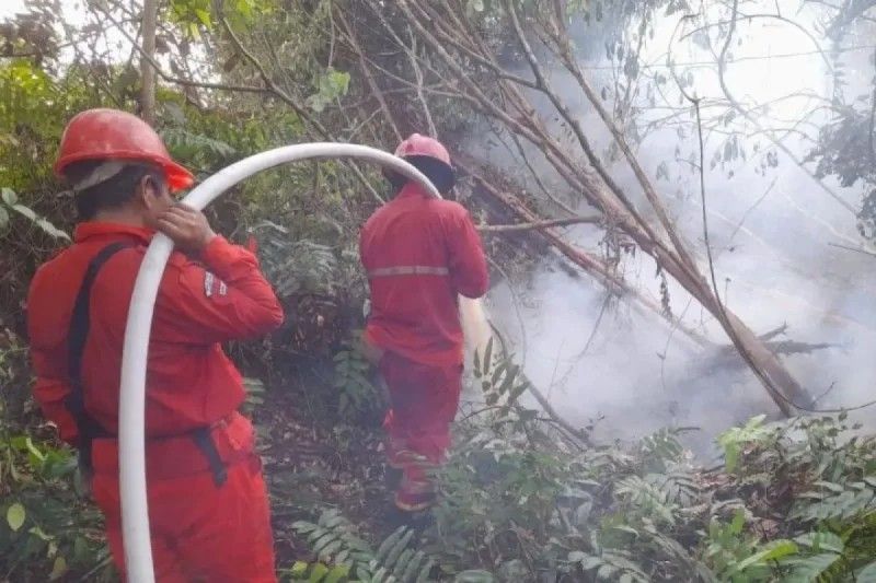 BPBD Sumsel: Perusahaan Perkebunan Harus Siaga Hadapi Karhutla