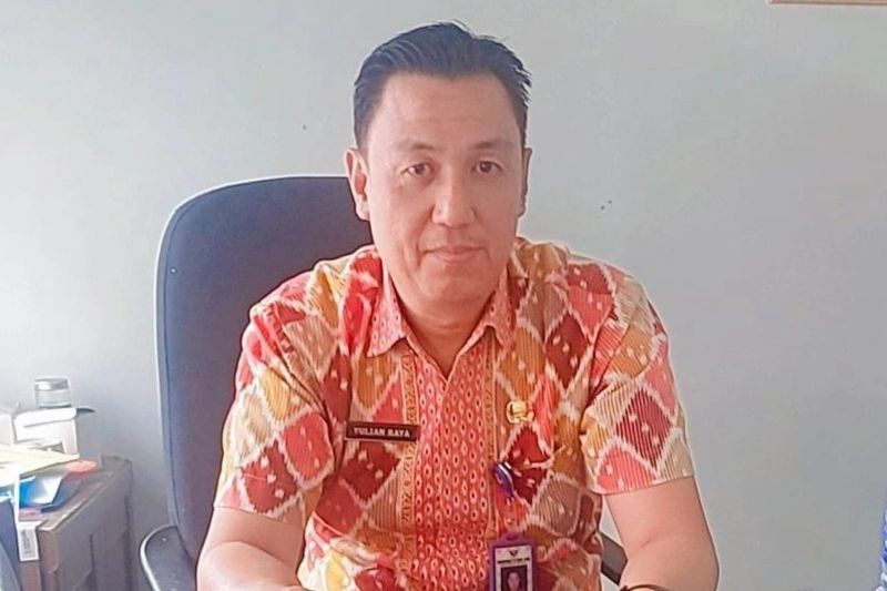 Harga TBS Sawit Jambi Turun Drastis! Fluktuasi CPO Global Jadi Biang Keladinya