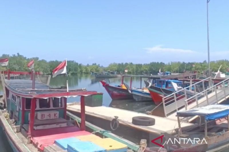 Pemkot Bengkulu Imbau Nelayan Stop Tangkap Benih Lobster, Ancaman Hukum Mengintai!