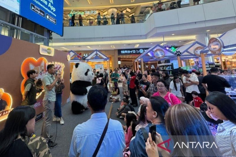 Taman Safari Bogor Tawarkan Promo Spesial di HAPPY PAW, Harga Tiket Lebih Hemat!