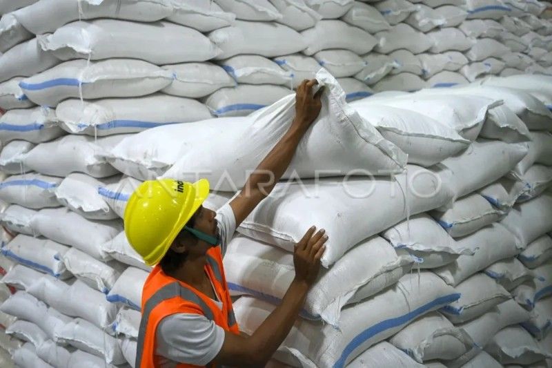 Stok Beras Bulog Tembus 3,6 Juta Ton: Rekor Tertinggi dalam 57 Tahun!