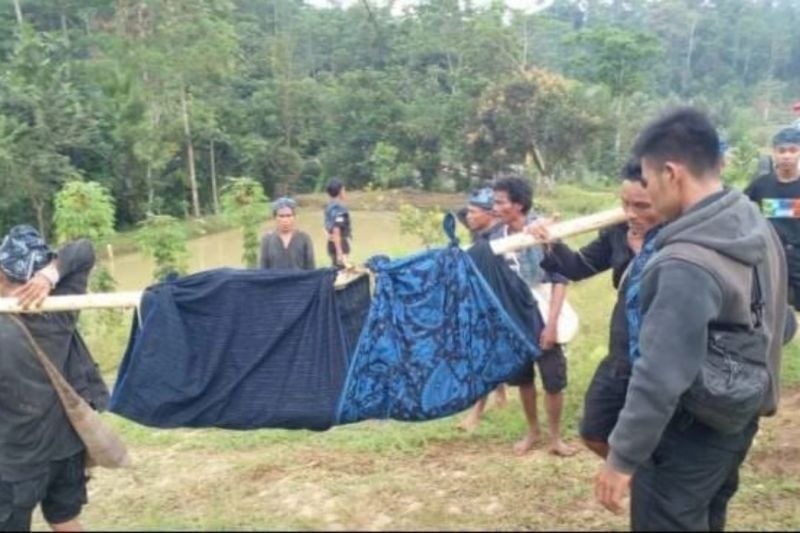 28 Warga Badui Jadi Korban Gigitan Ular Berbisa, Dua Meninggal