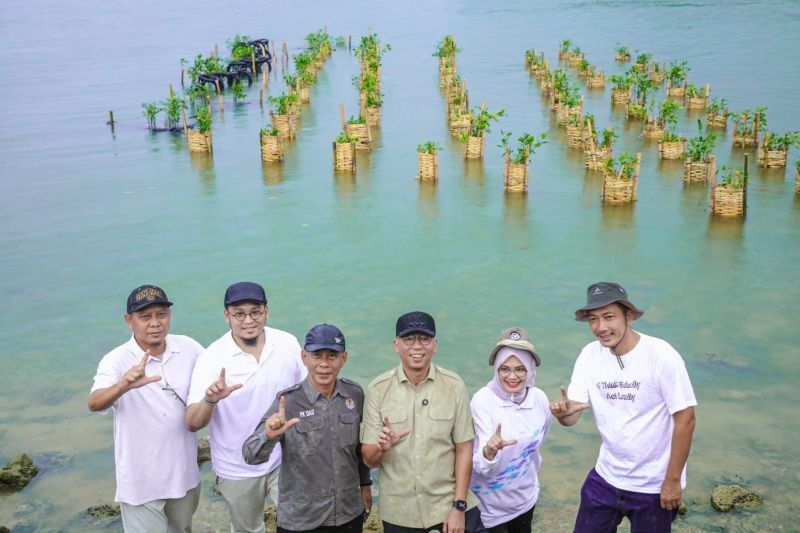 Gubernur Lampung Dorong Penanaman Mangrove untuk Perkuat Ketahanan Pesisir