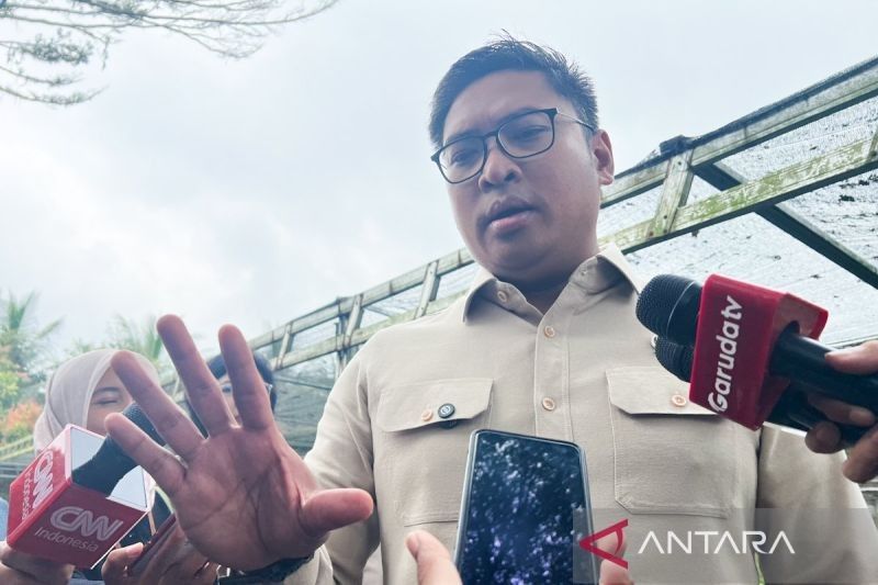 Serapan Gabah Capai 2 Juta Ton, CBP RI Menguat!
