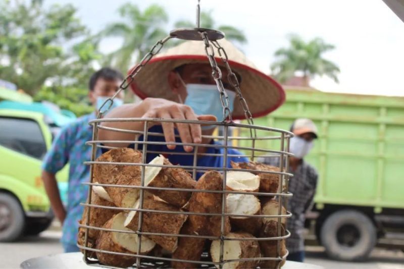 Kemendag Siap Bahas Pembatasan Impor Singkong dan Tapioka