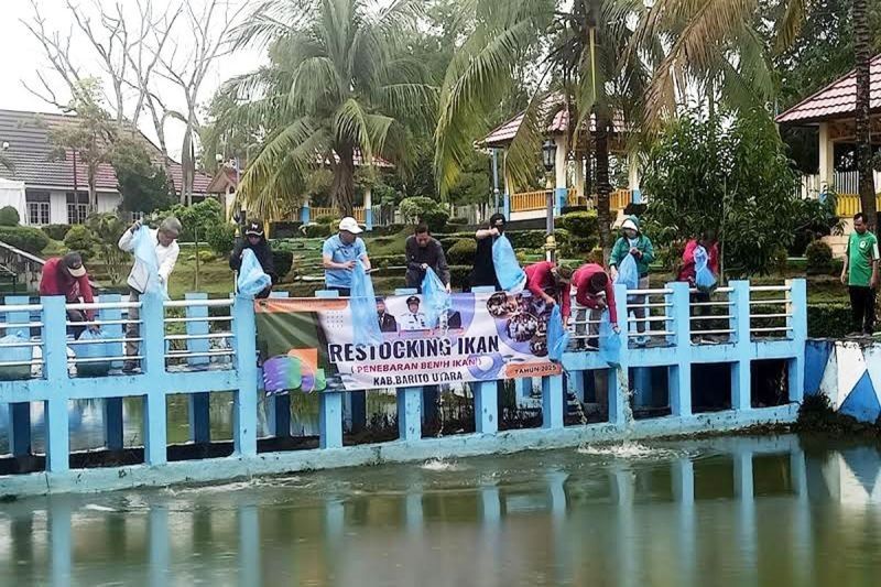 Pemkab Barito Utara Restocking 13.000 Bibit Ikan di Kolam Kantor Bupati