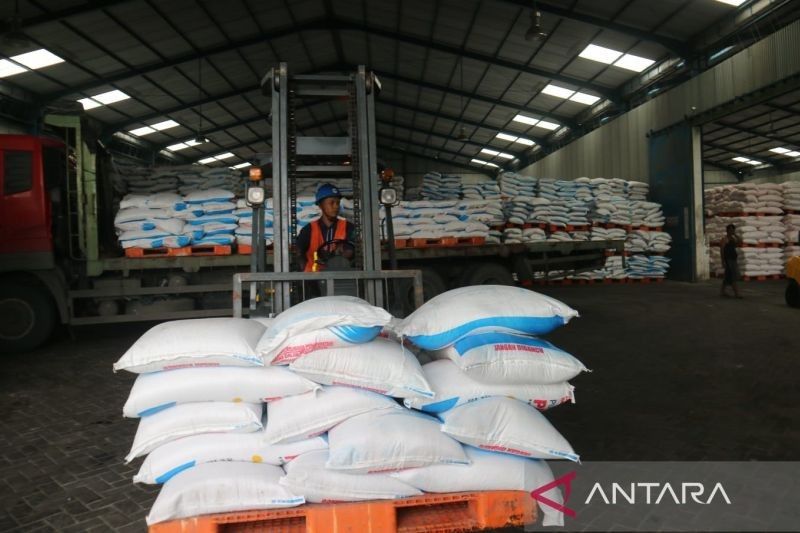 Serapan Pupuk Subsidi di Jawa Timur Capai 31 Persen, Tertinggi di Indonesia
