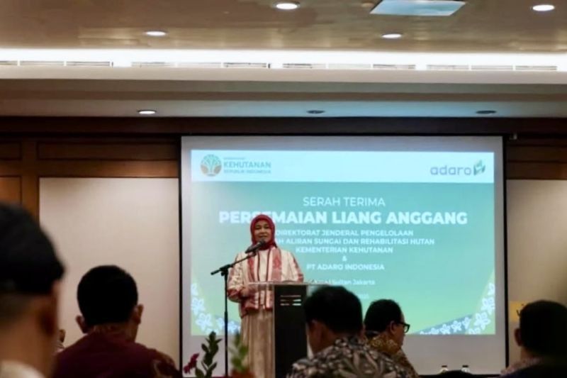 Persemaian Liang Anggang: Akselerasi Rehabilitasi Hutan dan Lahan di Kalimantan Selatan