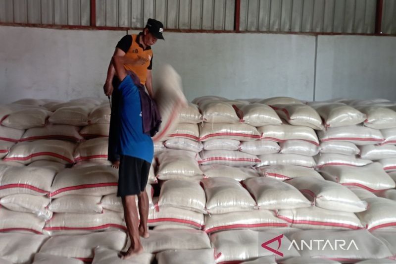 Bulog Indramayu Capai 75 Persen Target Serapan Gabah dan Beras