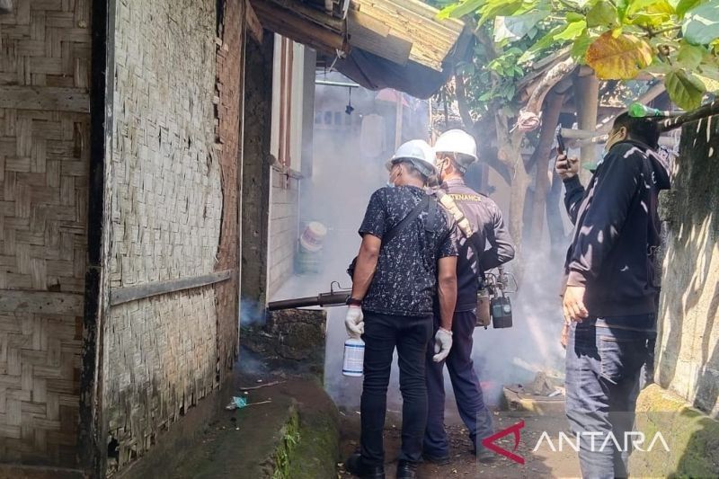 29 Warga Sukasirna, Cianjur, Terserang Chikungunya