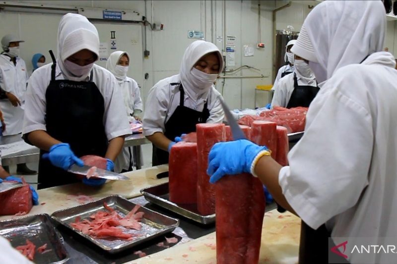 Ekspor Tuna Sumbar Tembus Rp1,87 Miliar ke UEA, Mendag Dorong UMKM Ikut Program Bisa Ekspor