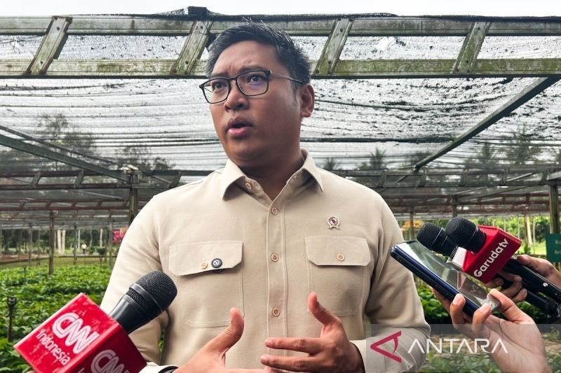 Stok Pangan Aman Jelang Idul Adha 2025, Wamentan Pastikan Harga Terkendali